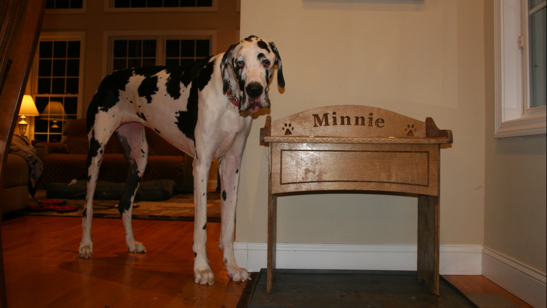 Split header of Minnie on the couch and next to her Dad