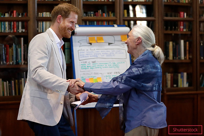 Jane shaking hands with Prince Harry in Windsor Castle, 2019