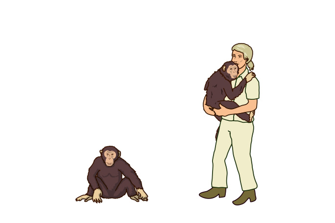 illustration of Jane with chimps