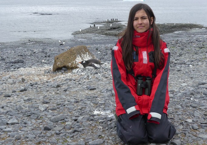 南極のペンギンたちとのひととき