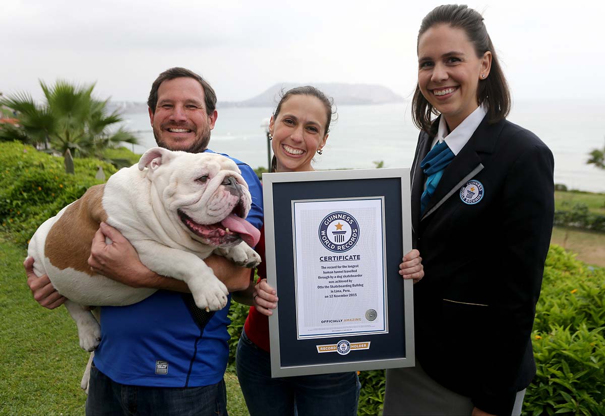 Otto with owners  Luciana Viale and Robert Rickards holding their GWR certificate, next to an adjudicator 