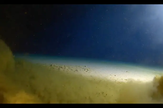 the bottom of the Challenger Deep in the Mariana Trench